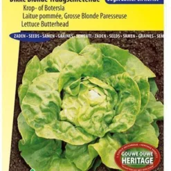 Sluis Garden - Sla Dikke Blonde Traagschietende