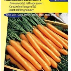 Sluis Garden - Wortel Amsterdamse Bak 2 Amfine