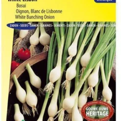 Sluis Garden - Bosui, Lenteui White Lisbon