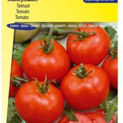 Sluis Garden - Tomaat Moneymaker