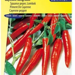 Sluis Garden - Peper Cayenne Long Slim