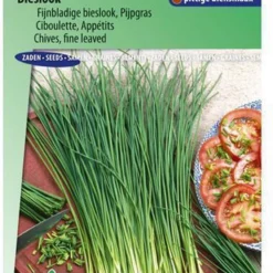 Sluis Garden - Bieslook Fijne (Allium Schoenoprasum)