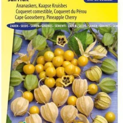 Sluis Garden - Ananaskers (Physalis Peruviana)