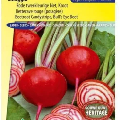 Sluis Garden - Rode Bieten Chioggia