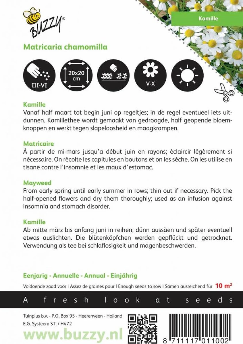 Buzzy Zaden - Kamille - Matricaria Chamomilla 4 Buzzy Zaden - Kamille - Matricaria Chamomilla - Afbeelding 4