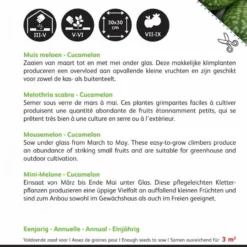 Buzzy Zaden - Cucamelons Muismeloen 15 Zaden -Exporteren Buiten Groen Winkel 846x1200 4