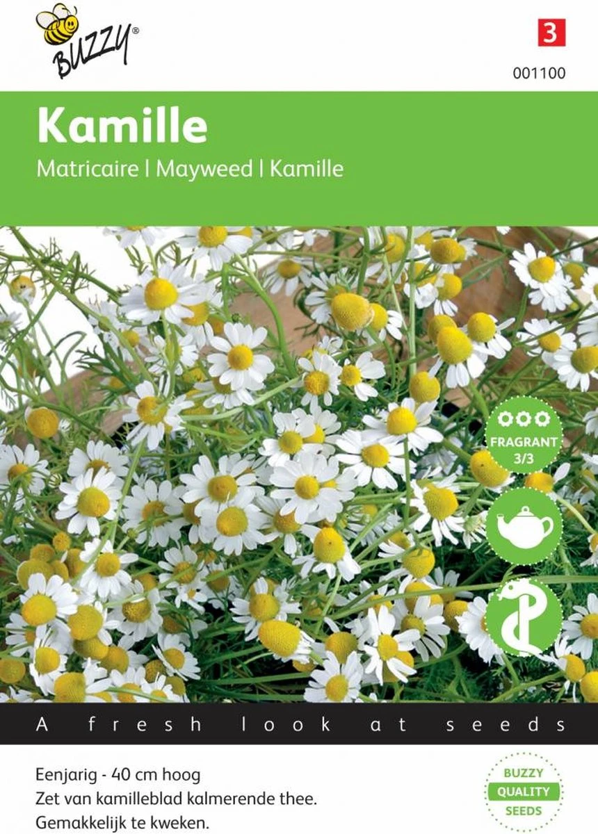 Buzzy Zaden - Kamille - Matricaria Chamomilla 2 Buzzy Zaden - Kamille - Matricaria Chamomilla - Afbeelding 2