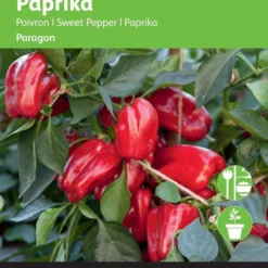 Buzzy Zaden Paprika Snack Patio - Rood - Paragon