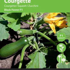 Buzzy® Courgette Klimmend Black Forest F1