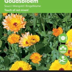 Buzzy® - Goudsbloem Touch Of Red Mix (Calendula Officinalis)