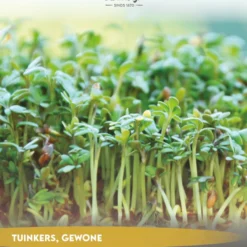 Tuin De Bruijn® Zaden - Tuinkers Alenois - Overvloedige Oogst