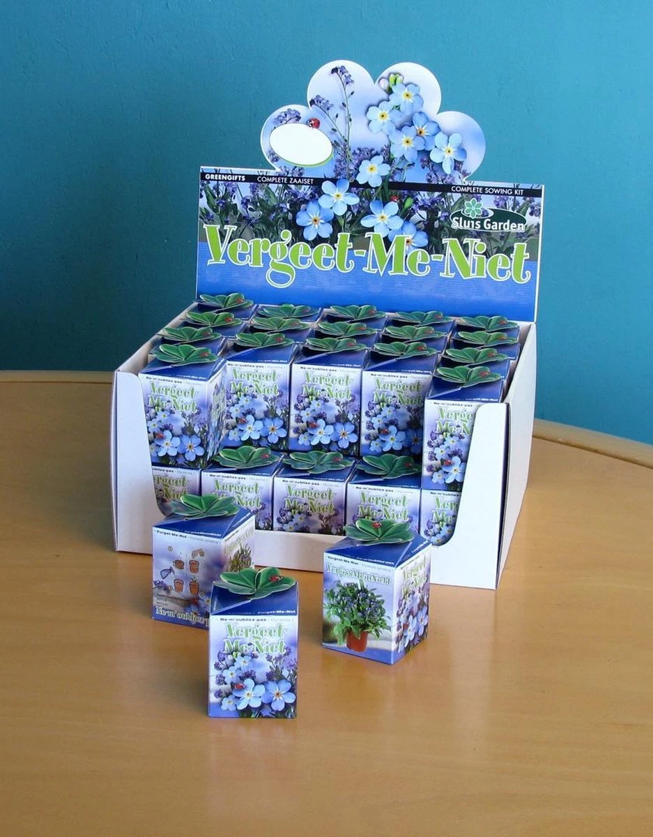 Sluis Garden - Greengift, Vergeet Me Niet 40 Stuks In Showdoos 1 Sluis Garden - Greengift, Vergeet Me Niet 40 Stuks In Showdoos
