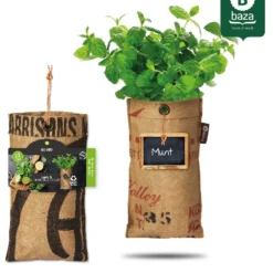 Hangtuintjes Keukenkruiden Kweken - Set 4st. -Exporteren Buiten Groen Winkel 957x1200