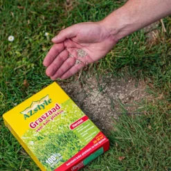 ECOstyle Graszaad Herstel Snelkiemend Gazon Gras – Herstelt Kale Plekken – Vogelwerende Coating – Geschikt Voor Zon- En Schaduw Gazons - Snelle Kieming – 20 – 30M² – 500 GR -Exporteren Buiten Groen Winkel 960x1200 13