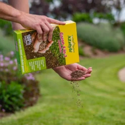 ECOstyle Gazon 4-in-1 Totaalpakket Met Kalk, Mest, Graszaad & Grond In Een Doos - Geeft Kale Plekken In Gras Egaal Herstel - 5- 10 Kale Plekken - 1 KG -Exporteren Buiten Groen Winkel 960x1200 16