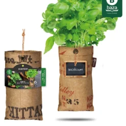 Hangtuintjes Keukenkruiden Kweken - Set 4st. -Exporteren Buiten Groen Winkel 962x1200 1