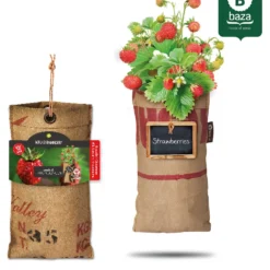 4x Hangtuintjes Moestuin Kweekset Groenten Nu Met Gratis FSC Houten Hangrekje!! 18 4x Hangtuintjes Moestuin Kweekset Groenten Nu Met Gratis FSC Houten Hangrekje!! -Exporteren Buiten Groen Winkel 962x1200