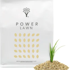 Snelkiemend Power Graszaad Voor 50m² Gras | Hoge Kwaliteit Gras Voor Een Snel Groeiend Meerjarig Gazon -Exporteren Buiten Groen Winkel 963x1200