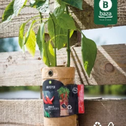 4x Hangtuintjes Moestuin Kweekset Groenten Nu Met Gratis FSC Houten Hangrekje!! 15 4x Hangtuintjes Moestuin Kweekset Groenten Nu Met Gratis FSC Houten Hangrekje!! -Exporteren Buiten Groen Winkel 967x1200 1