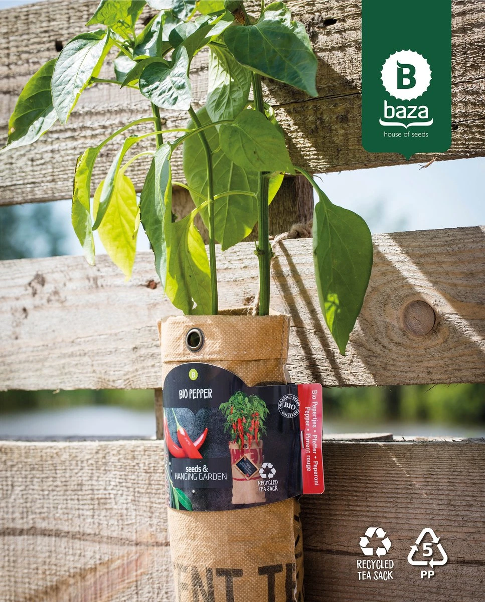 4x Hangtuintjes Moestuin Kweekset Groenten Nu Met Gratis FSC Houten Hangrekje!! 5 4x Hangtuintjes Moestuin Kweekset Groenten Nu Met Gratis FSC Houten Hangrekje!! - Afbeelding 5