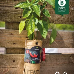 4x Hangtuintjes Moestuin Kweekset Groenten Nu Met Gratis FSC Houten Hangrekje!! 14 4x Hangtuintjes Moestuin Kweekset Groenten Nu Met Gratis FSC Houten Hangrekje!! -Exporteren Buiten Groen Winkel 967x1200