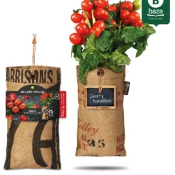 4x Hangtuintjes Moestuin Kweekset Groenten Nu Met Gratis FSC Houten Hangrekje!! 17 4x Hangtuintjes Moestuin Kweekset Groenten Nu Met Gratis FSC Houten Hangrekje!! -Exporteren Buiten Groen Winkel 967x1200 3