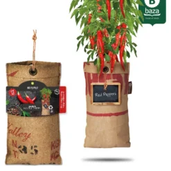 4x Hangtuintjes Moestuin Kweekset Groenten Nu Met Gratis FSC Houten Hangrekje!! 21 4x Hangtuintjes Moestuin Kweekset Groenten Nu Met Gratis FSC Houten Hangrekje!! -Exporteren Buiten Groen Winkel 967x1200 4