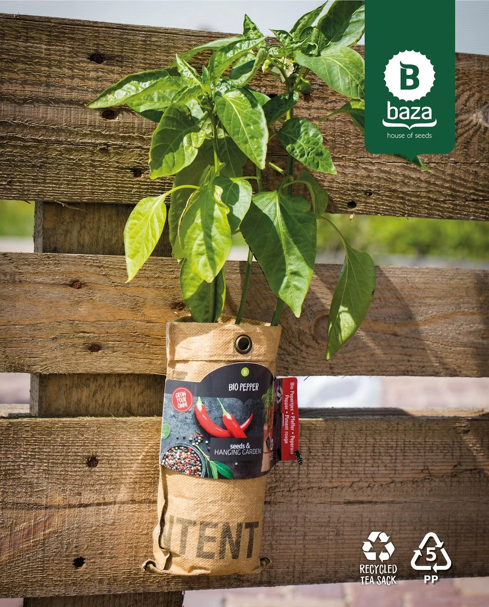 4x Hangtuintjes Moestuin Kweekset Groenten Nu Met Gratis FSC Houten Hangrekje!! 4 4x Hangtuintjes Moestuin Kweekset Groenten Nu Met Gratis FSC Houten Hangrekje!! - Afbeelding 4