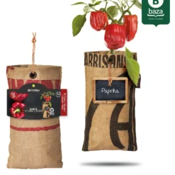 4x Hangtuintjes Moestuin Kweekset Groenten Nu Met Gratis FSC Houten Hangrekje!! 20 4x Hangtuintjes Moestuin Kweekset Groenten Nu Met Gratis FSC Houten Hangrekje!! -Exporteren Buiten Groen Winkel 969x1200