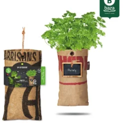 Hangtuintjes Keukenkruiden Kweken - Set 4st. -Exporteren Buiten Groen Winkel 971x1200