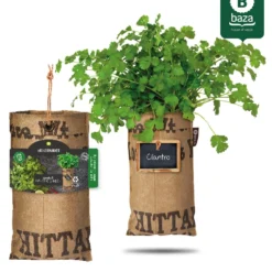 Hangtuintjes Keukenkruiden Kweken - Set 4st. -Exporteren Buiten Groen Winkel 973x1200