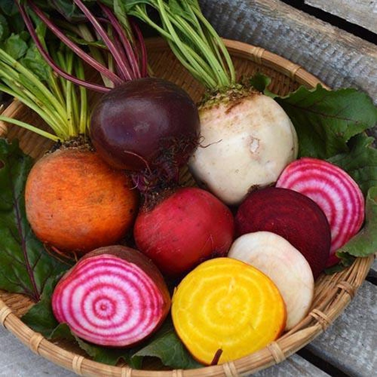 Exporteren Buiten Groen Winkel -Exporteren Buiten Groen Winkel 1